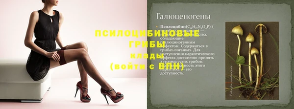 трава Дмитров