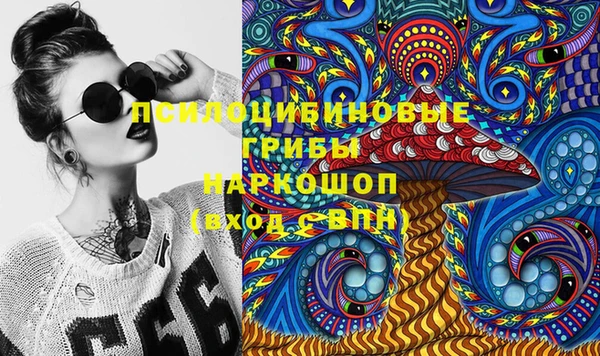 марки nbome Дмитриев