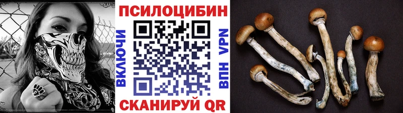 Купить закладки Нелидово Псилоцибиновые грибы ЛСД